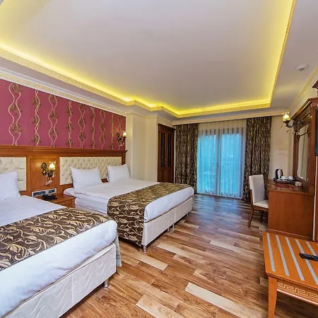 ホテル Lausos Palace Sisli 5*